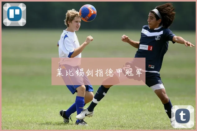 莱比锡剑指德甲冠军