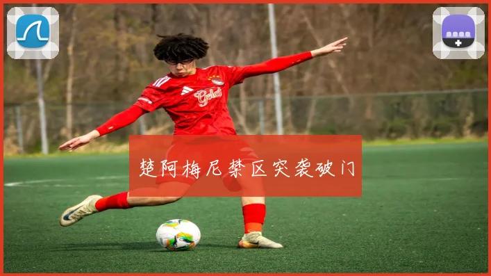 楚阿梅尼禁区突袭破门