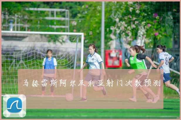 马赫雷斯阿尔及利亚射门次数预测