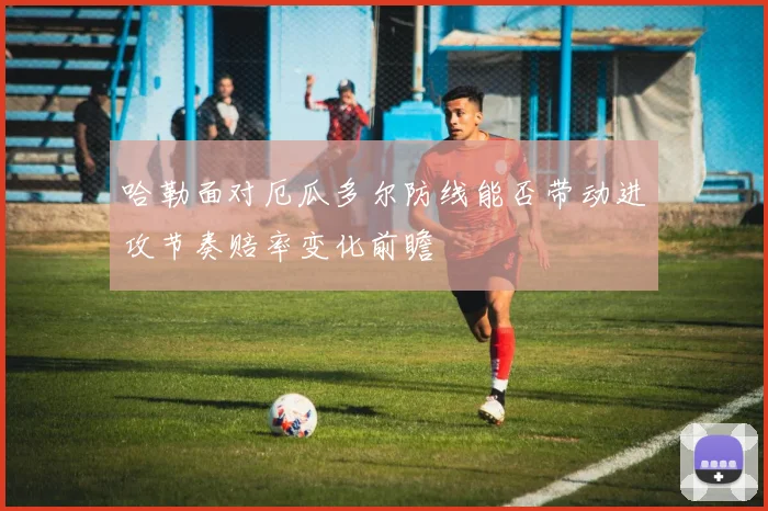 哈勒面对厄瓜多尔防线能否带动进攻节奏赔率变化前瞻