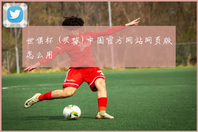 世俱杯 (买球)中国官方网站网页版怎么用