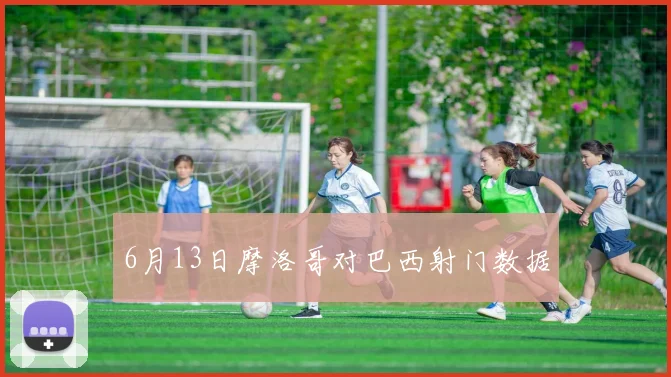 6月13日摩洛哥对巴西射门数据