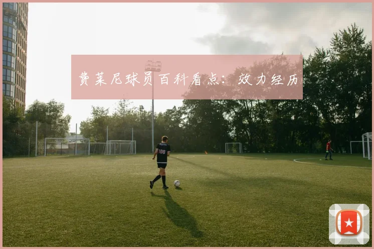 费莱尼球员百科看点:效力经历