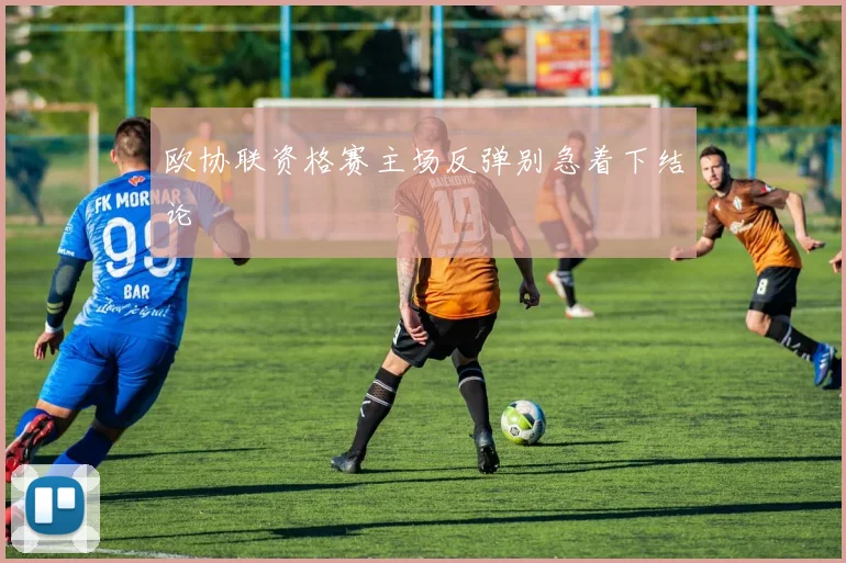 欧协联资格赛主场反弹别急着下结论