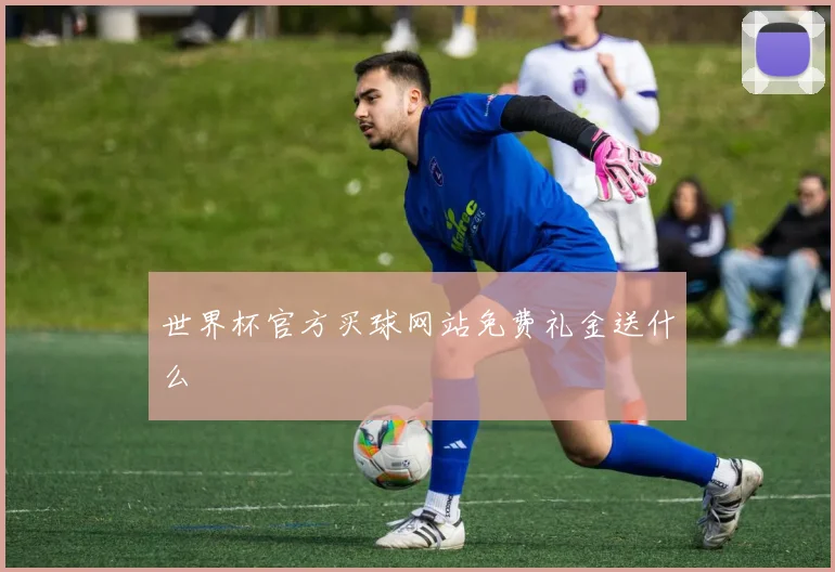 世界杯官方买球网站免费礼金送什么