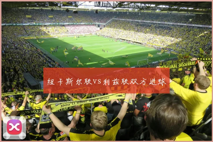 纽卡斯尔联vs利兹联双方进球
